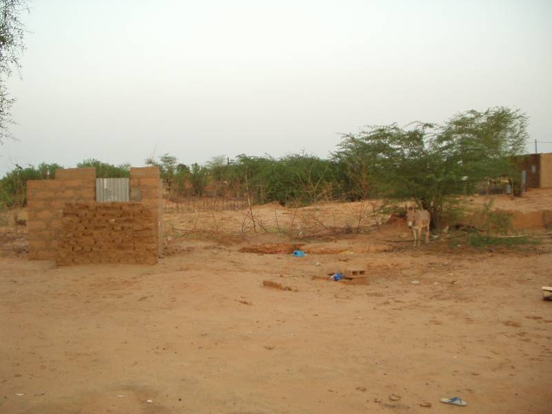 Original image