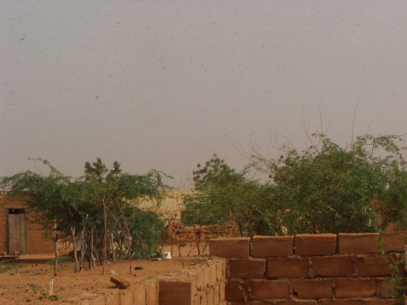 Original image