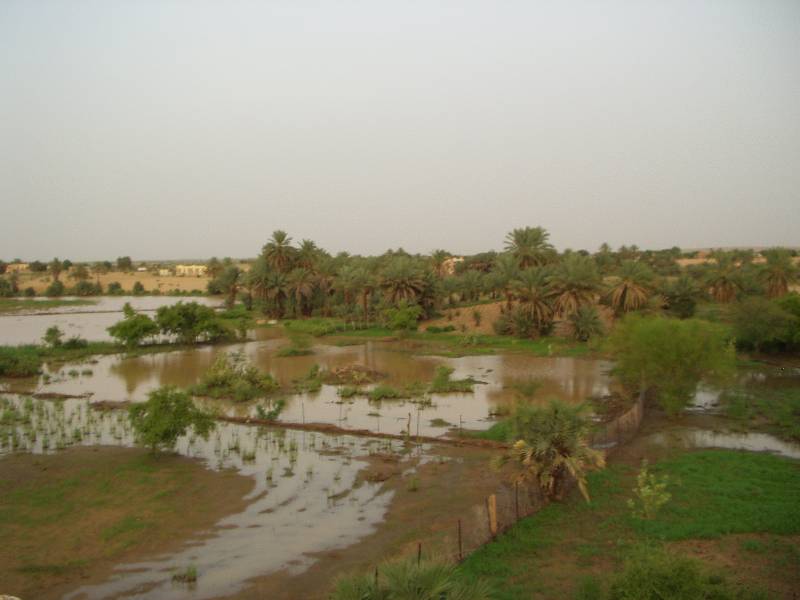 Original image