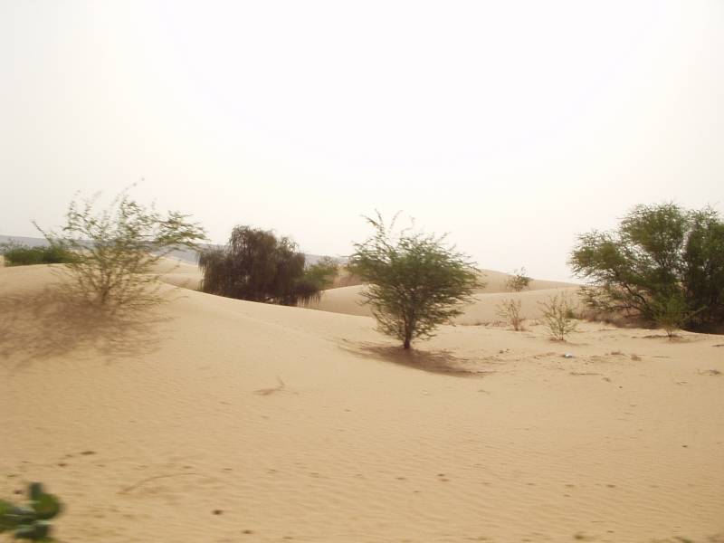 Original image