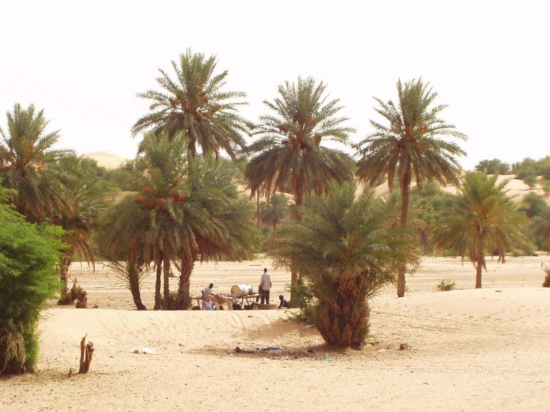 Original image