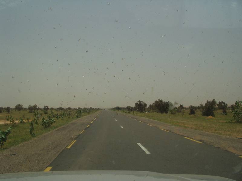 Original image