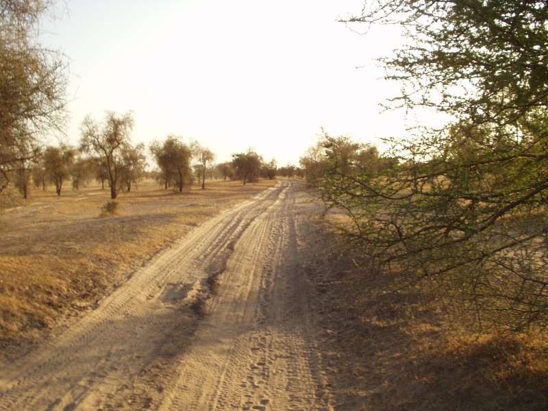 Original image