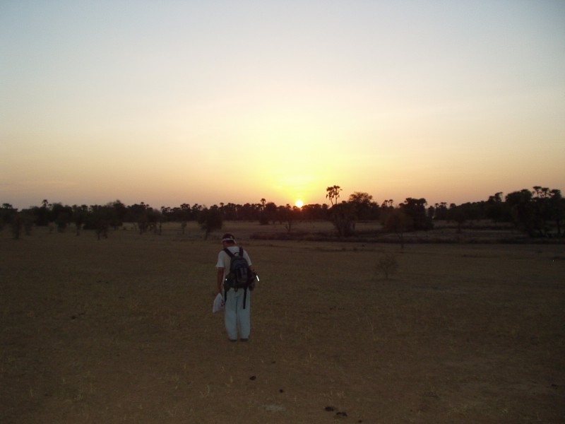 Original image