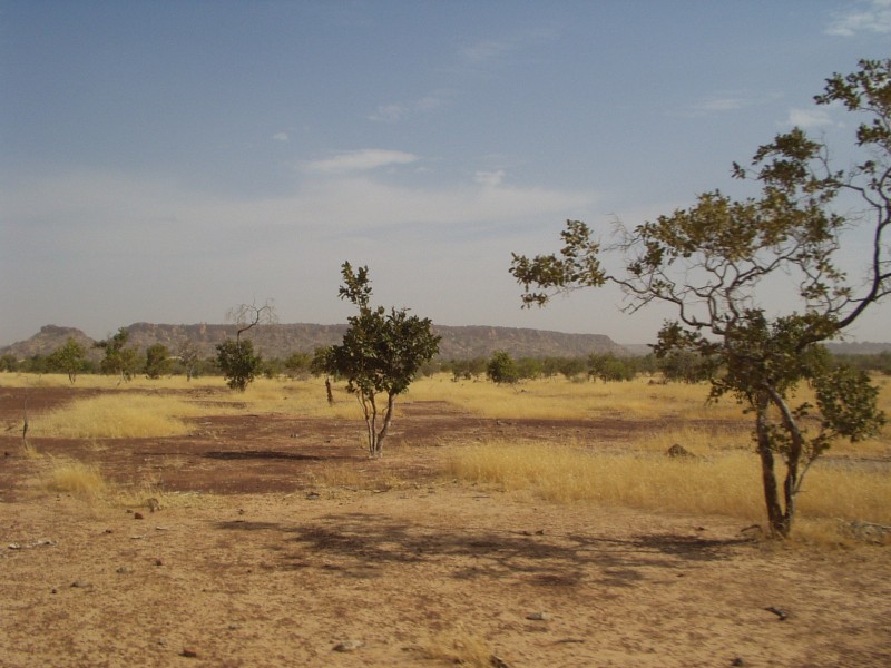 Original image