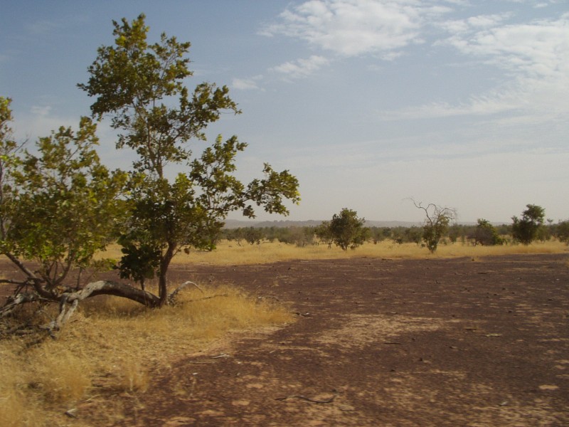 Original image
