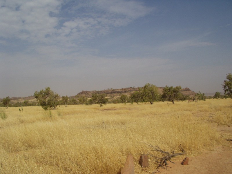 Original image