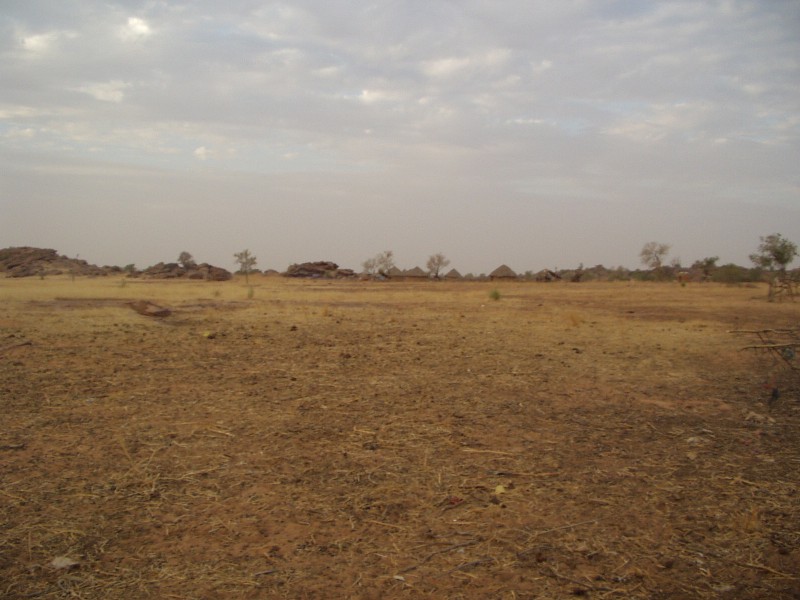 Original image