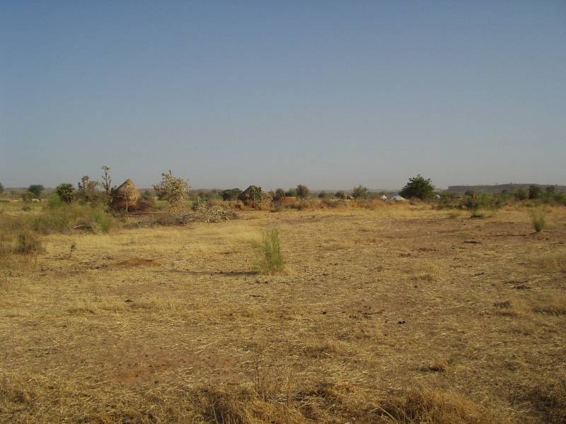 Original image