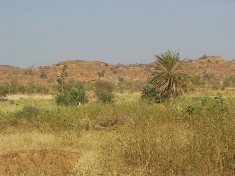 Original image