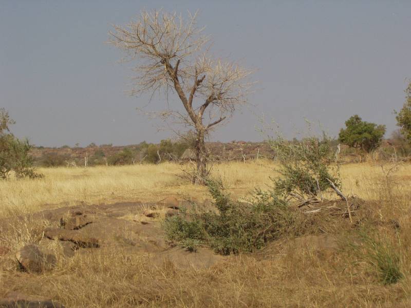 Original image
