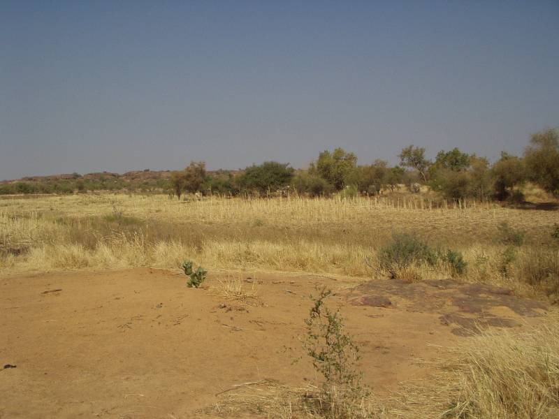 Original image