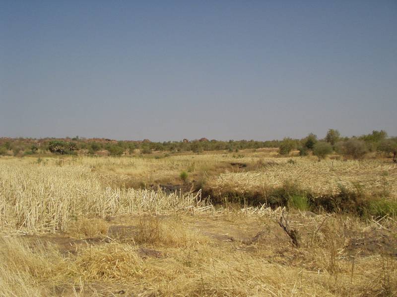 Original image