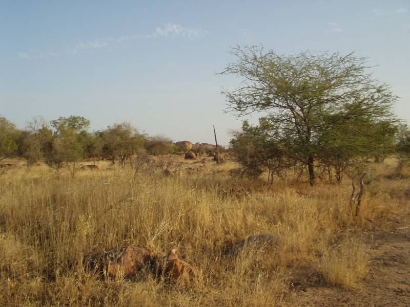 Original image