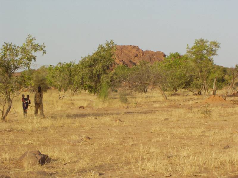 Original image