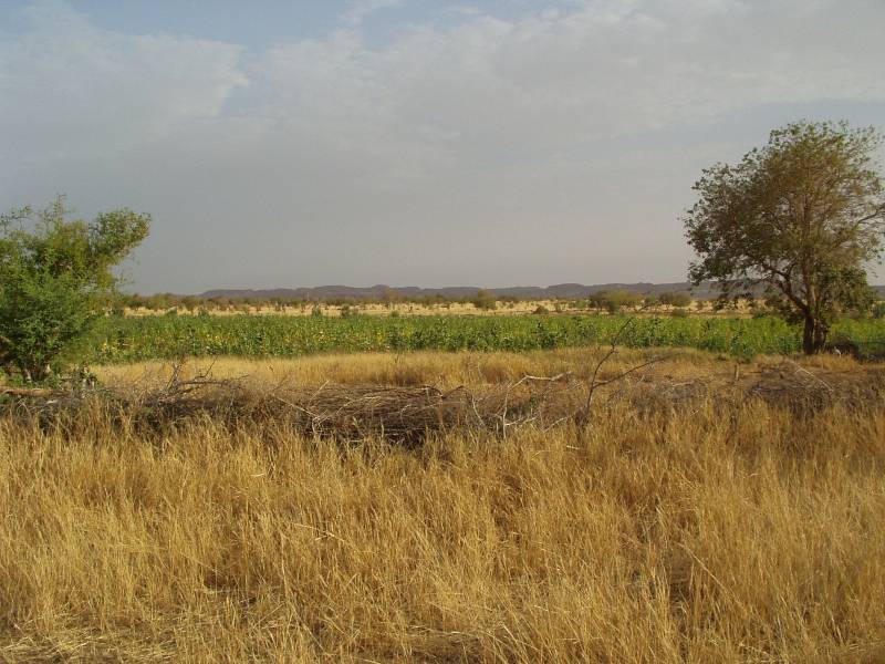 Original image