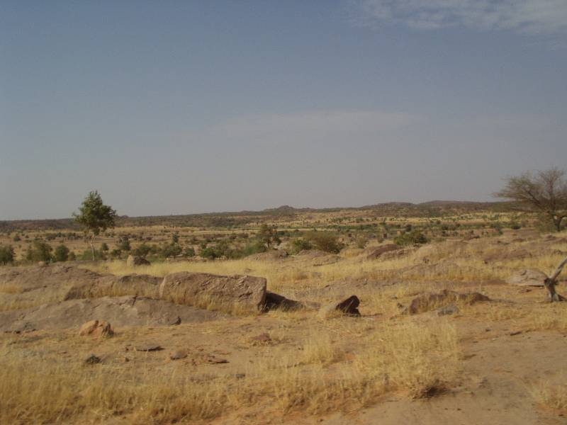Original image