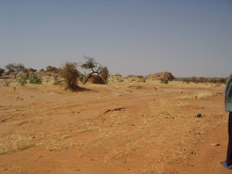 Original image