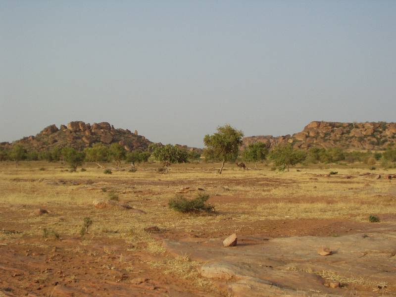 Original image