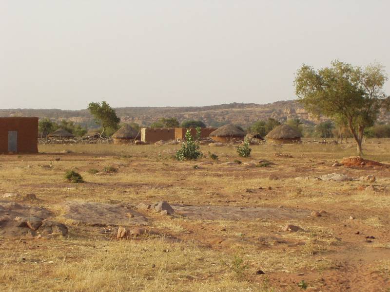 Original image