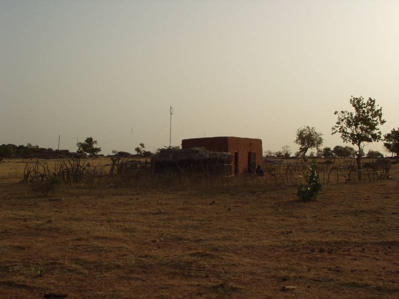 Original image