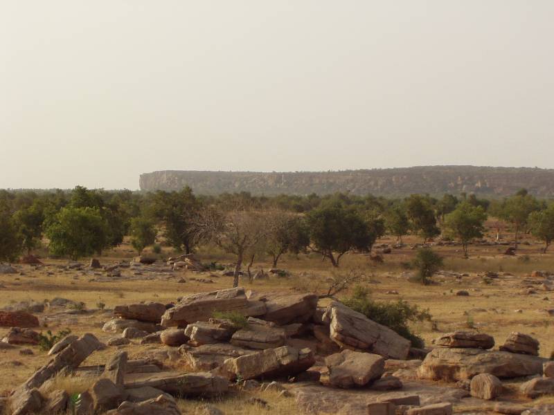 Original image