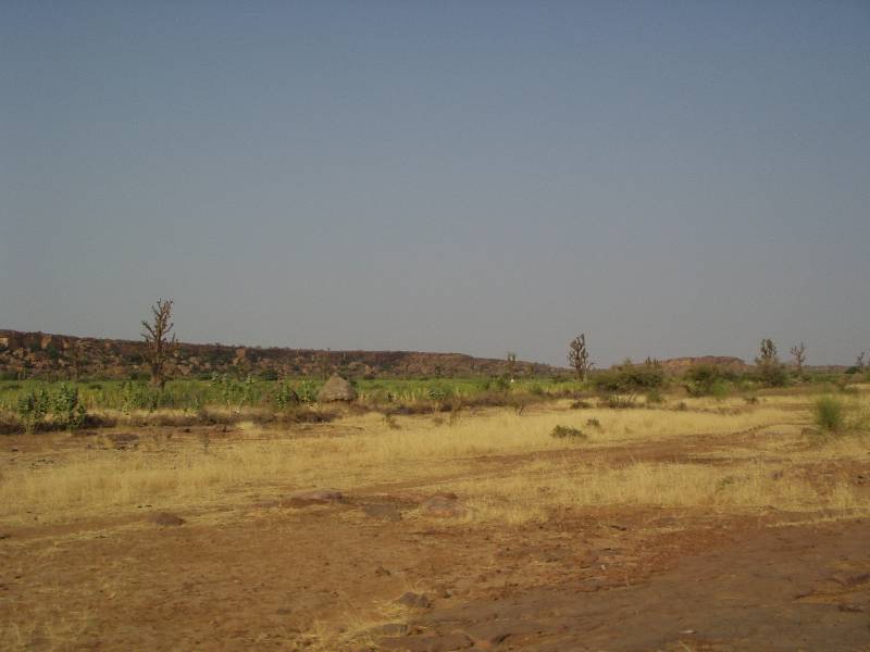 Original image