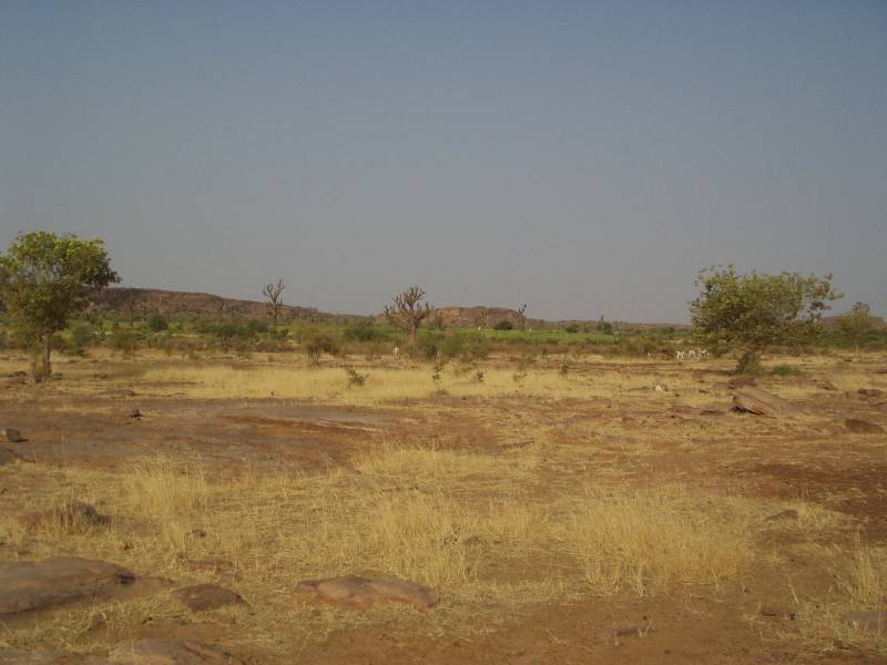 Original image
