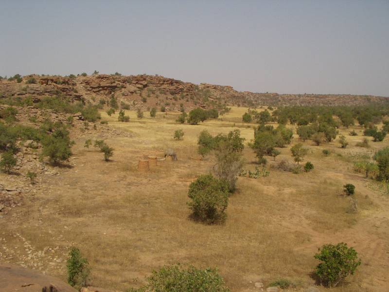 Original image