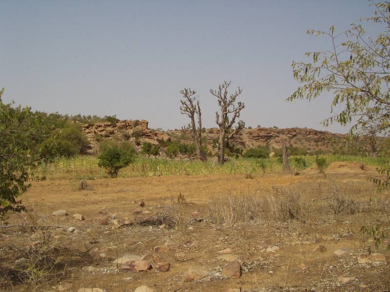 Original image