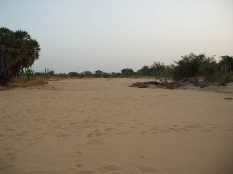 Original image
