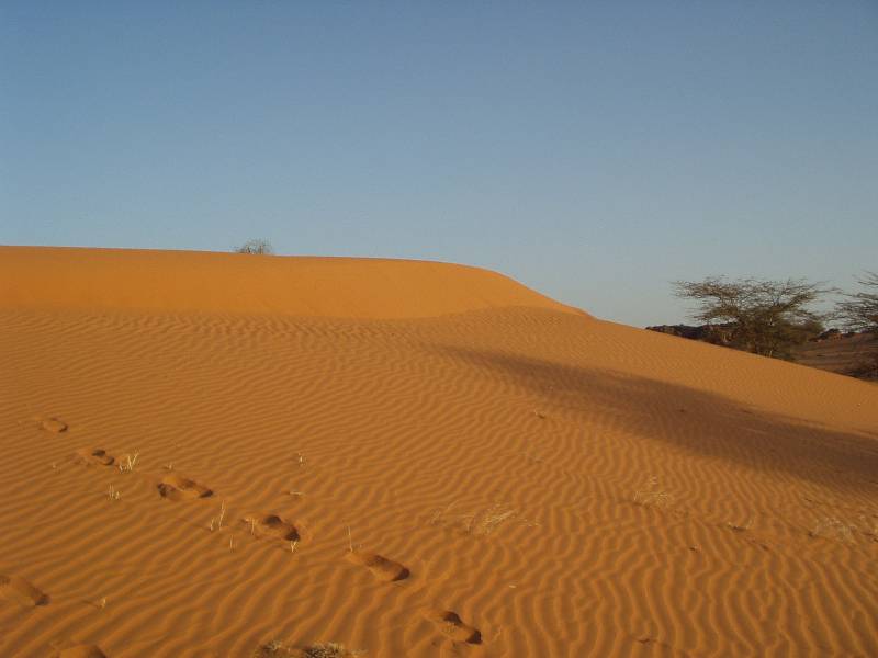 Original image